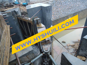 ����l�T-��̶��Ȫ��